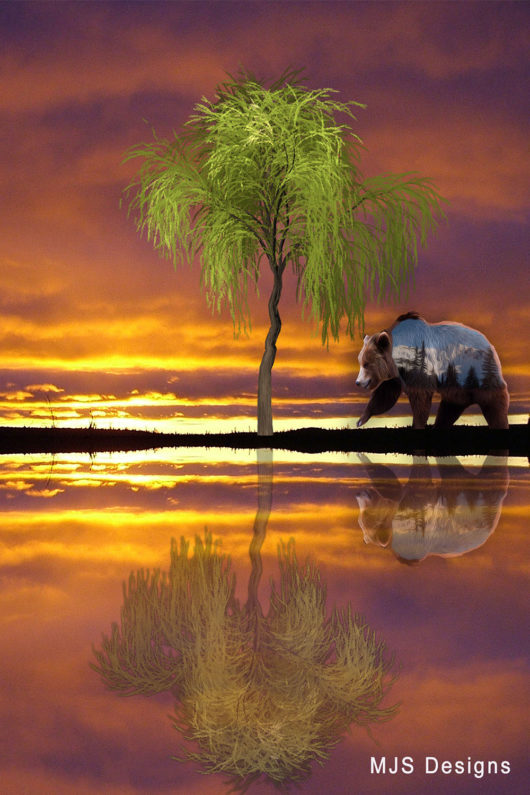 Mountain Grizzly Reflections