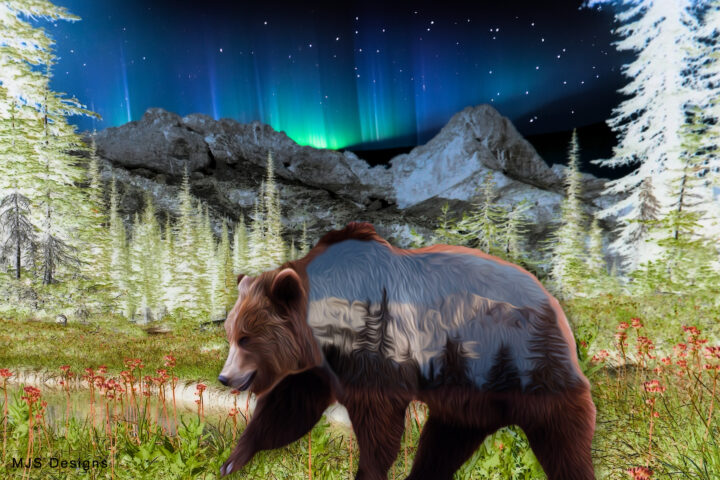 Mountain Grizzly